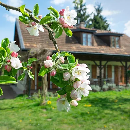 Villa Pod Koniem Kazimierz Dolny Exterior foto